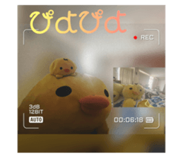 500224817