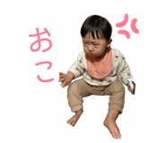 500226007