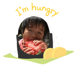 500237784