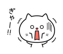 5002426