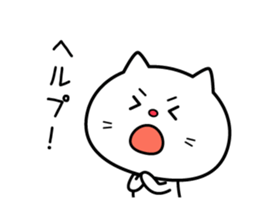 5002436