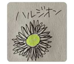 500258559