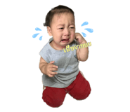 500259866