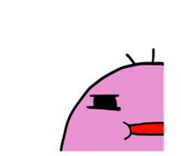 50026654