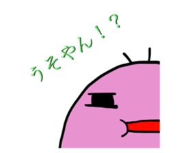 50026658