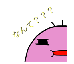 50026661