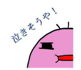 50026662