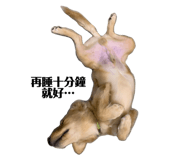 500301377