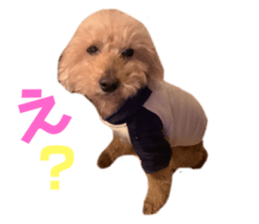 500328133