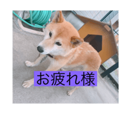 500369625