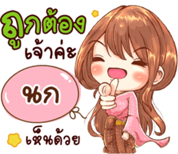 50037646
