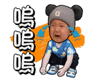 500415091