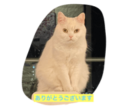 500458327