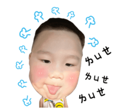 500475363