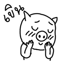 5004797