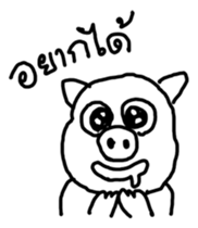 5004798