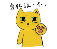 500480037