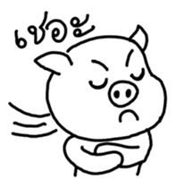 5004806