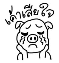 5004808