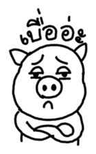 5004809