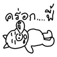 5004813