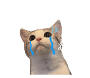 500481465