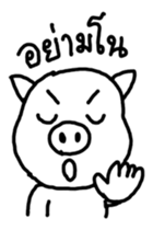 5004815