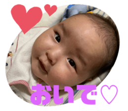 500489241