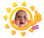 500509067