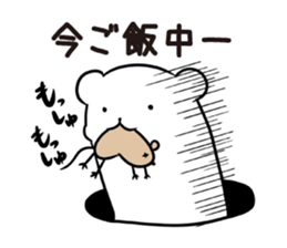 5005159