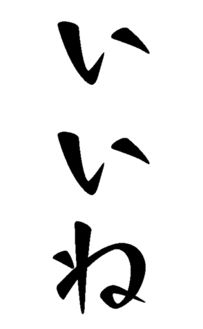500538892