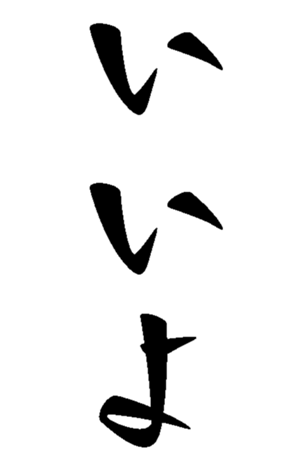 500538893