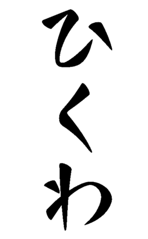 500538905