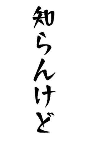 500538925