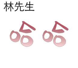 500555815