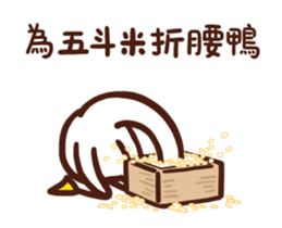 500559157