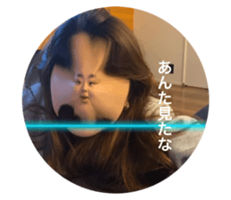 500566894