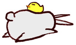 500575