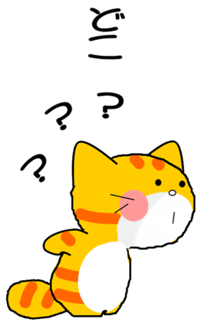 500582238