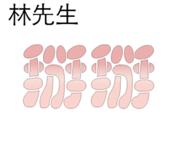 500596858