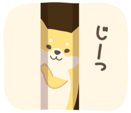 500618930