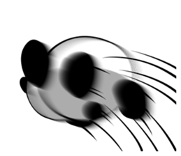 5007328