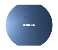 500746461