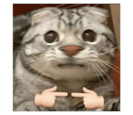 500783072