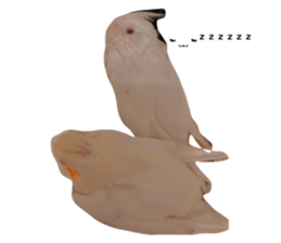 500786512
