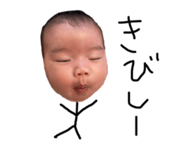 500799681