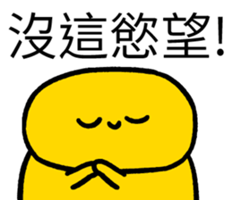 500805587