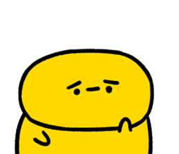 500805796