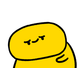 500805811