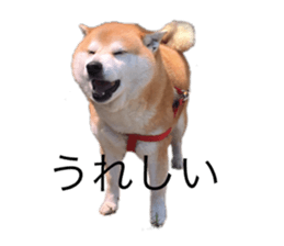 500805982